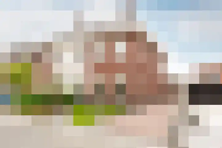 Zeepkruidstraat 120 Lelystad thumbnail 35
