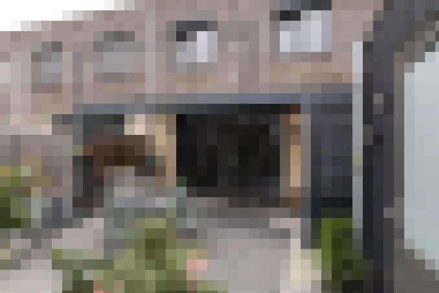 Zeepkruidstraat 35 Lelystad thumbnail 33
