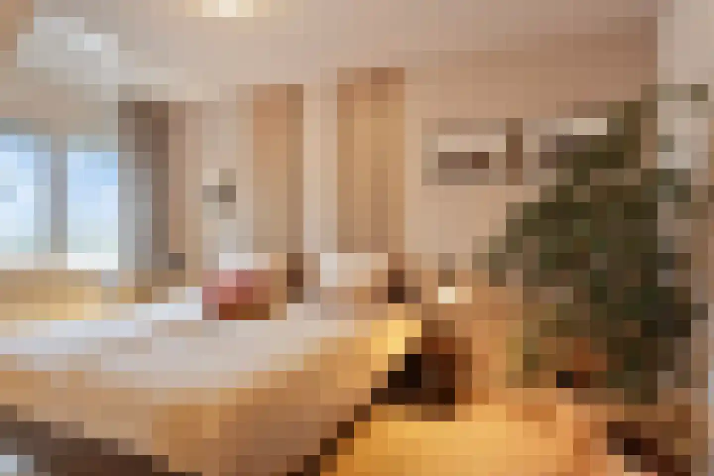 Zeepweg 14 Gronsveld thumbnail 18