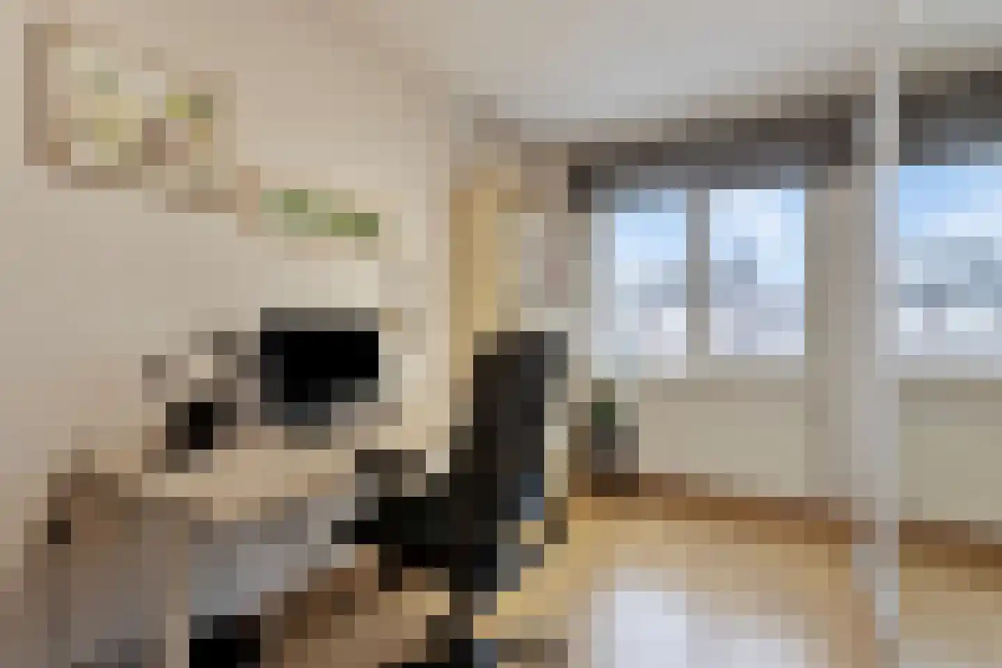 Zeepweg 14 Gronsveld thumbnail 24