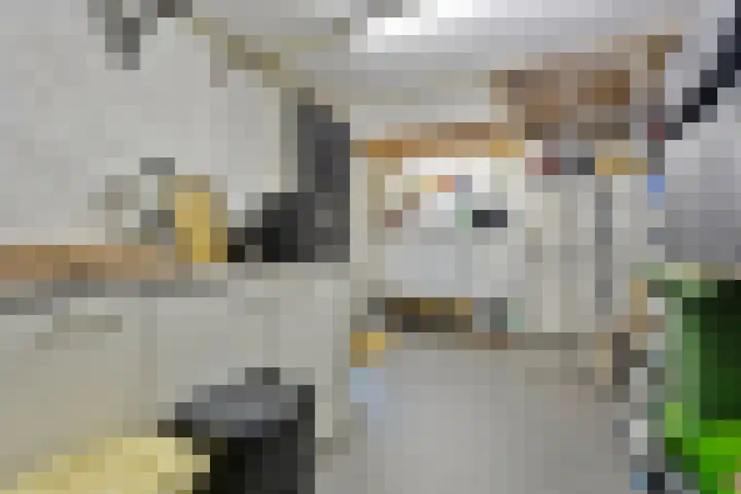 Zeepweg 14 Gronsveld thumbnail 28