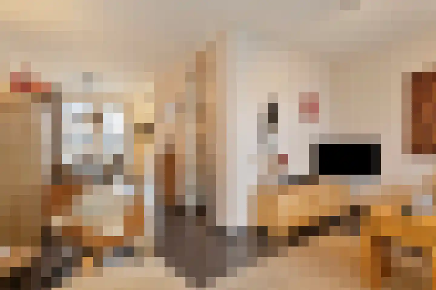 Zeepweg 14 Gronsveld thumbnail 8