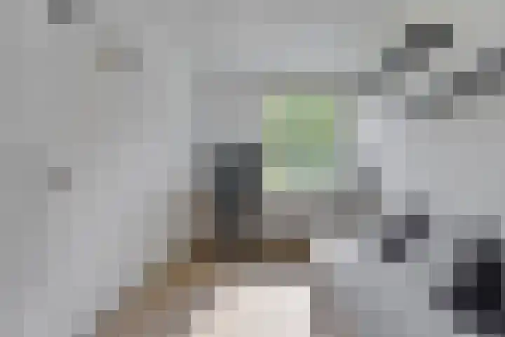 Zeepziedersdreef 24 B Maastricht thumbnail 14