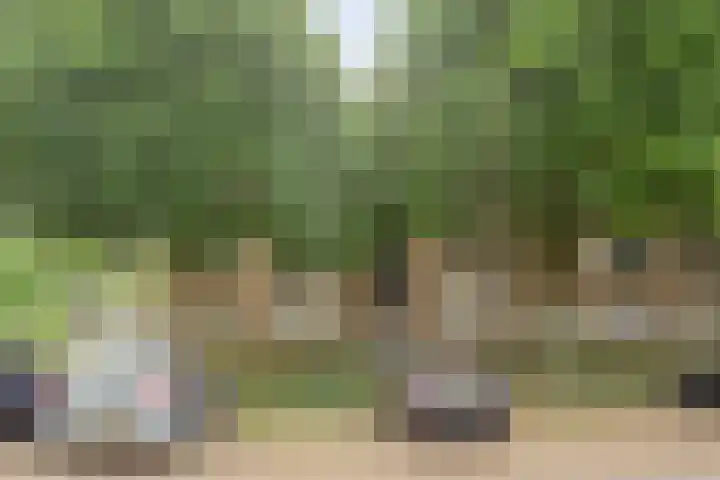 Zeepziedersdreef 24 B Maastricht thumbnail 17