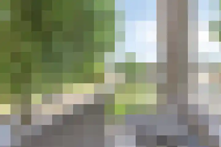 Zeepziedersdreef 24 B Maastricht thumbnail 19
