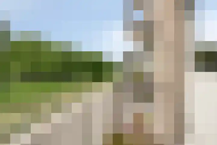 Zeepziedersdreef 24 B Maastricht thumbnail 20
