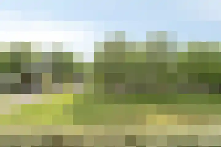 Zeepziedersdreef 24 B Maastricht thumbnail 22