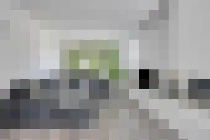 Zeepziedersdreef 24 B Maastricht thumbnail 5