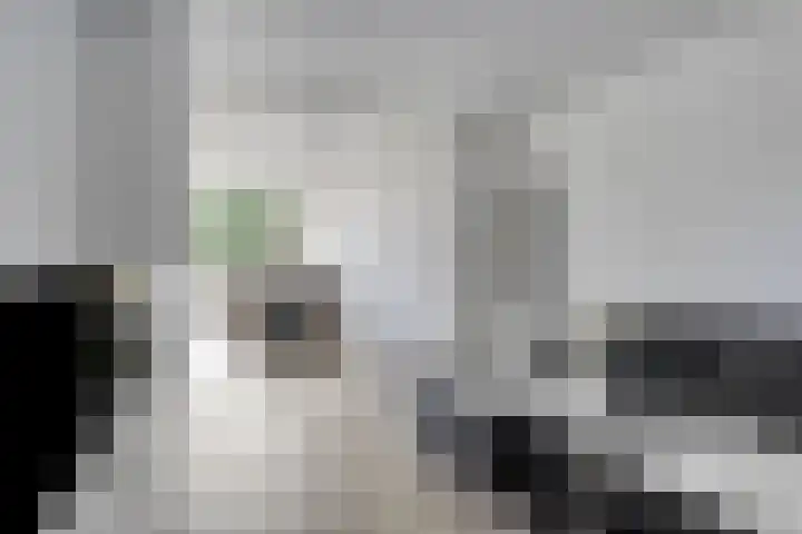 Zeepziedersdreef 24 B Maastricht thumbnail 6