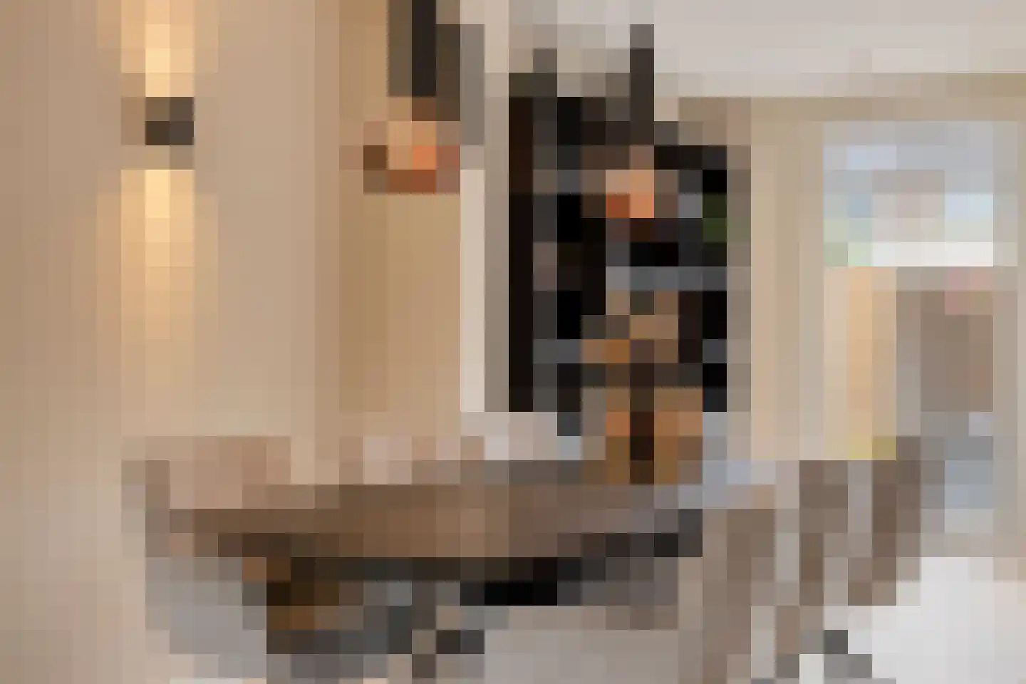 Zeepziedersdreef 36 Maastricht thumbnail 11