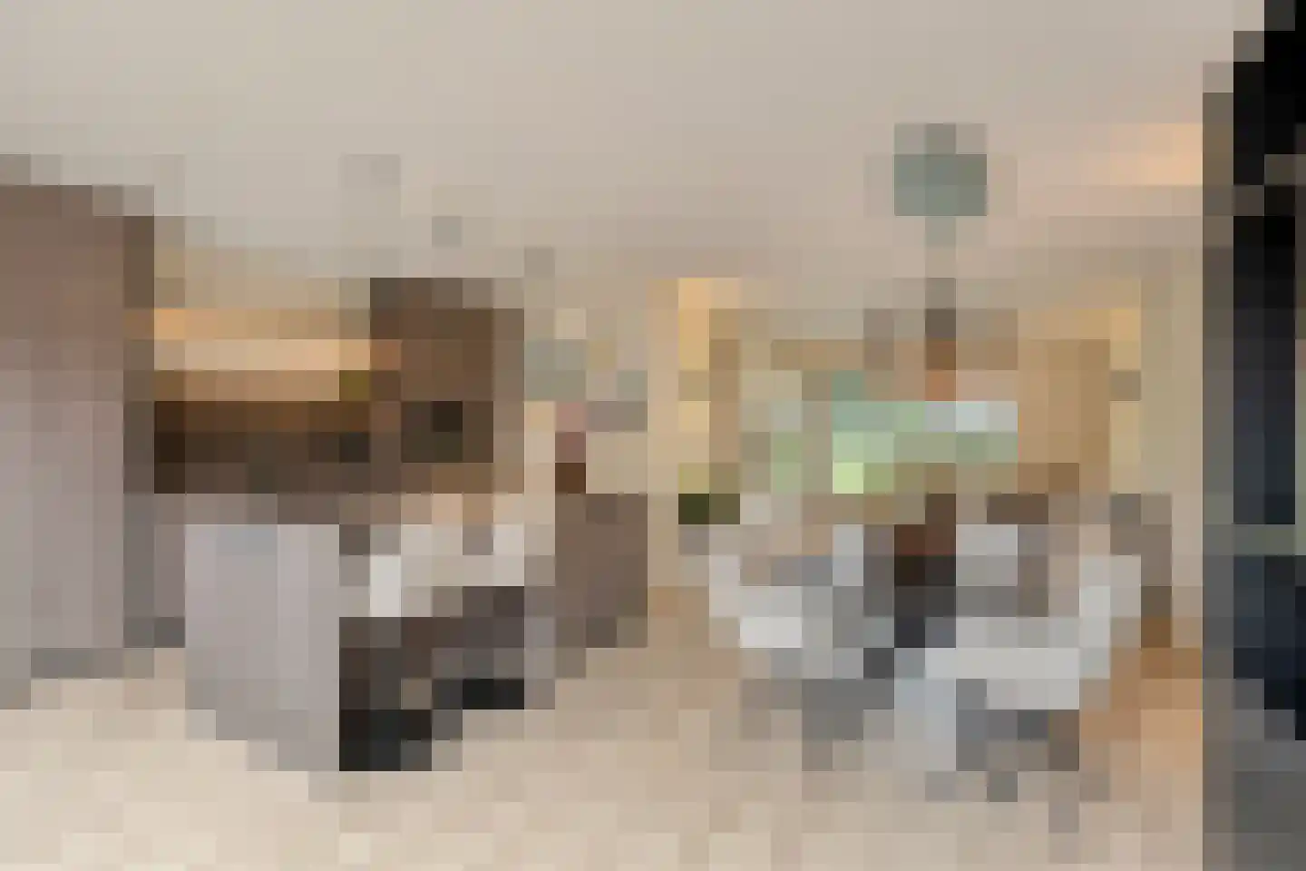 Zeepziedersdreef 36 Maastricht thumbnail 12