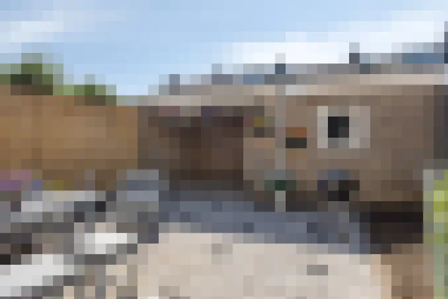 Zeepziedersdreef 36 Maastricht thumbnail 26