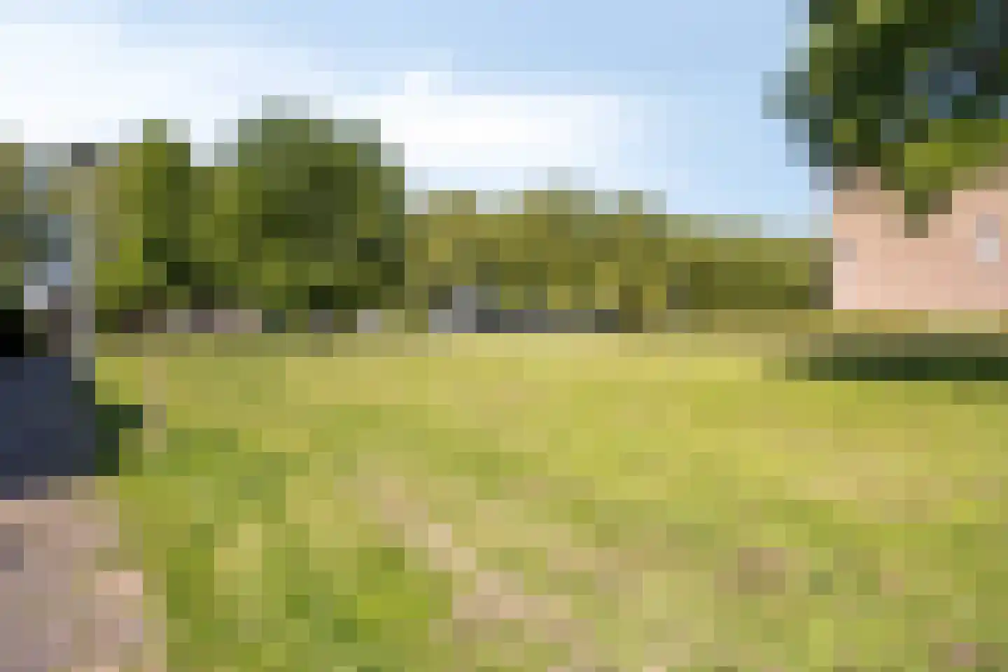 Zeepziedersdreef 36 Maastricht thumbnail 58
