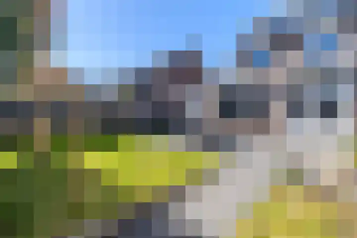 Zeepziedersdreef 51 Maastricht thumbnail 5