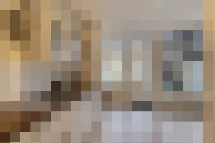 Zeepziedersdreef 52 Maastricht thumbnail 14
