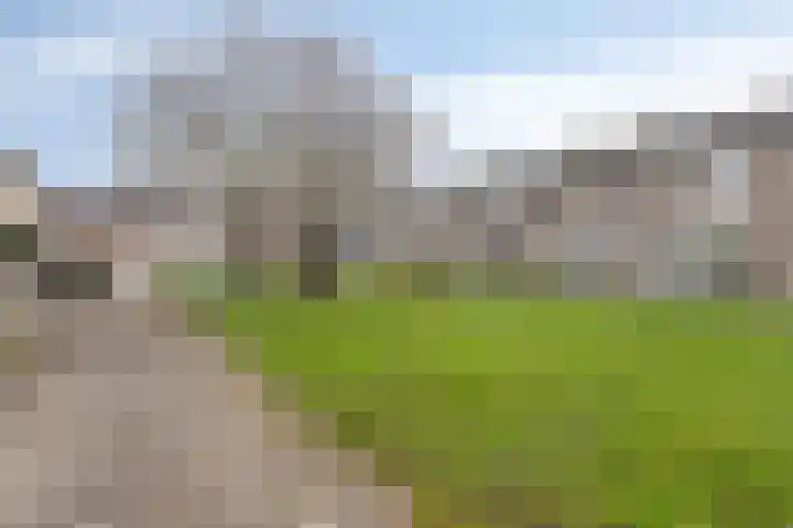 Zeepziedersdreef 52 Maastricht thumbnail 32