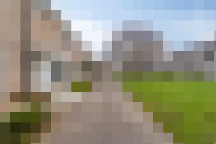 Zeepziedersdreef 52 Maastricht thumbnail 33
