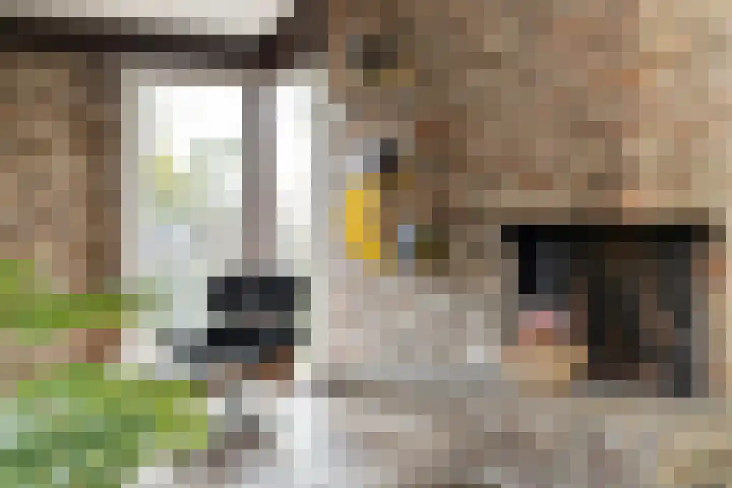 Zeepziedersdreef 68 Maastricht thumbnail 11