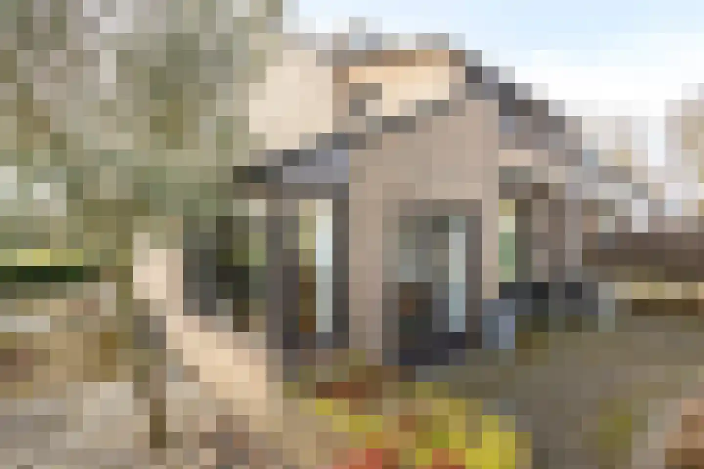 Zeepziedersdreef 68 Maastricht thumbnail 31