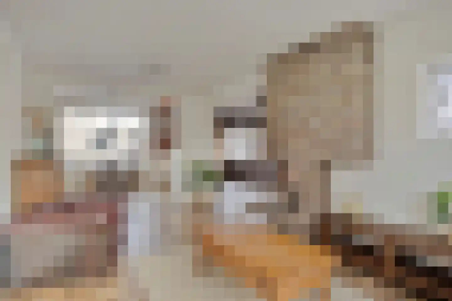 Zeepziedersdreef 68 Maastricht thumbnail 7