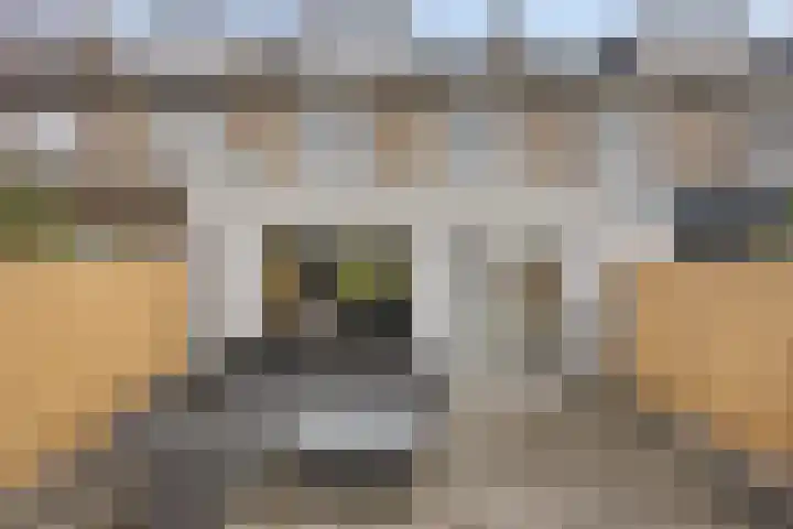 Zeepziedersdreef 72 Maastricht thumbnail 19