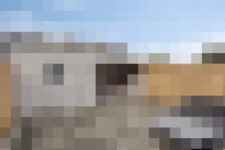 Zeepziedersdreef 72 Maastricht thumbnail 20