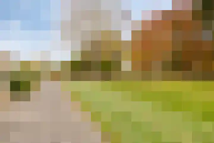 Zeepziedersdreef 72 Maastricht thumbnail 22