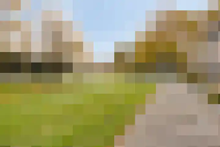 Zeepziedersdreef 72 Maastricht thumbnail 5