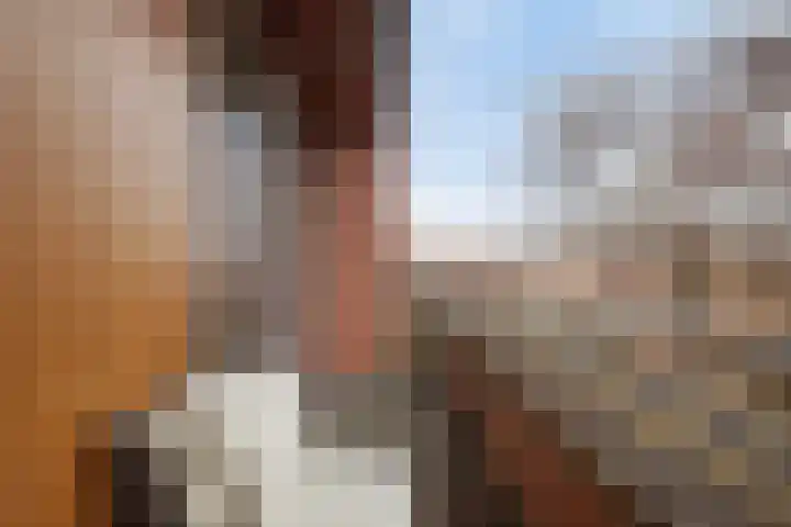 Zeepziederstraat 13 Delfgauw thumbnail 28