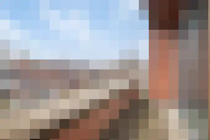 Zeepziederstraat 13 Delfgauw thumbnail 29