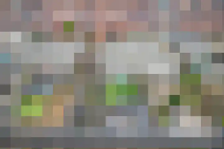 Zeepziederstraat 13 Delfgauw thumbnail 31