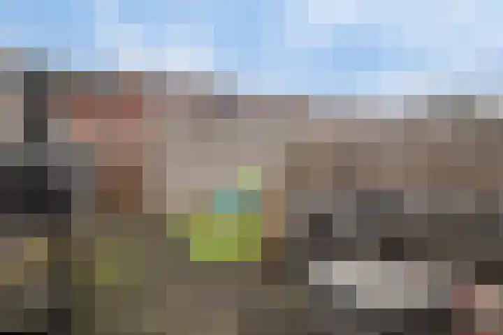 Zeepziederstraat 13 Delfgauw thumbnail 32