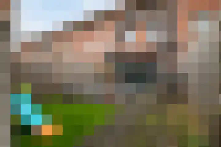 Zeepziederstraat 13 Delfgauw thumbnail 34