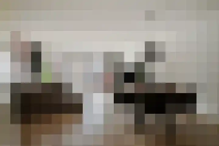 Zeepziederstraat 13 Delfgauw thumbnail 4