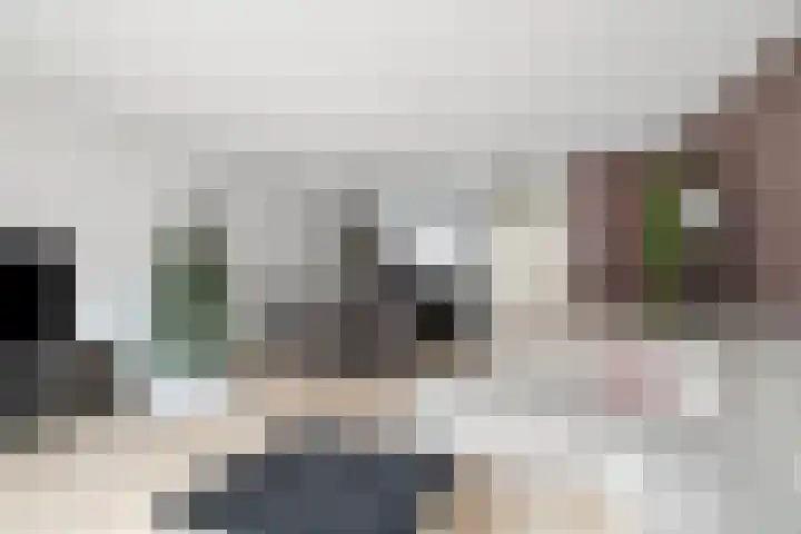Zeepziederstraat 13 Delfgauw thumbnail 6