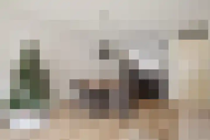 Zeepziederstraat 13 Delfgauw thumbnail 7