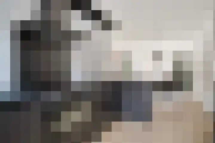 Zeepziederstraat 13 Delfgauw thumbnail 8