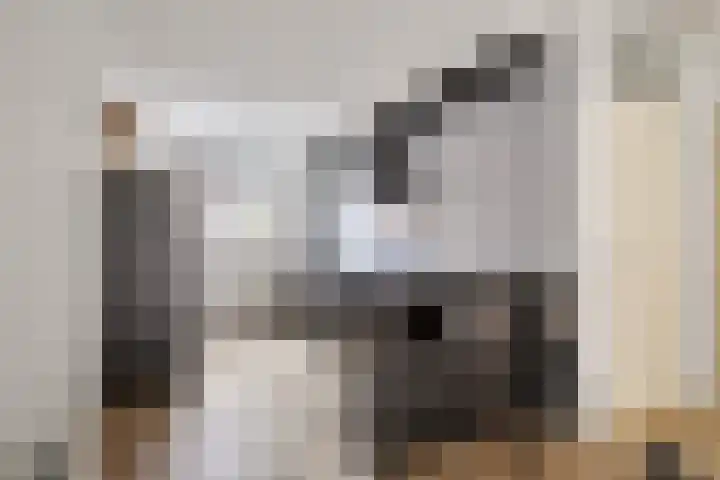 Zeepziederstraat 13 Delfgauw thumbnail 9