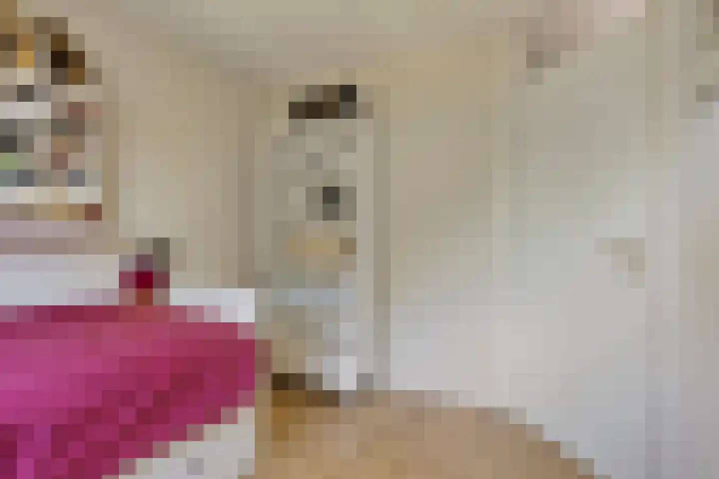 Zeepziederstraat 23 Alkmaar thumbnail 27
