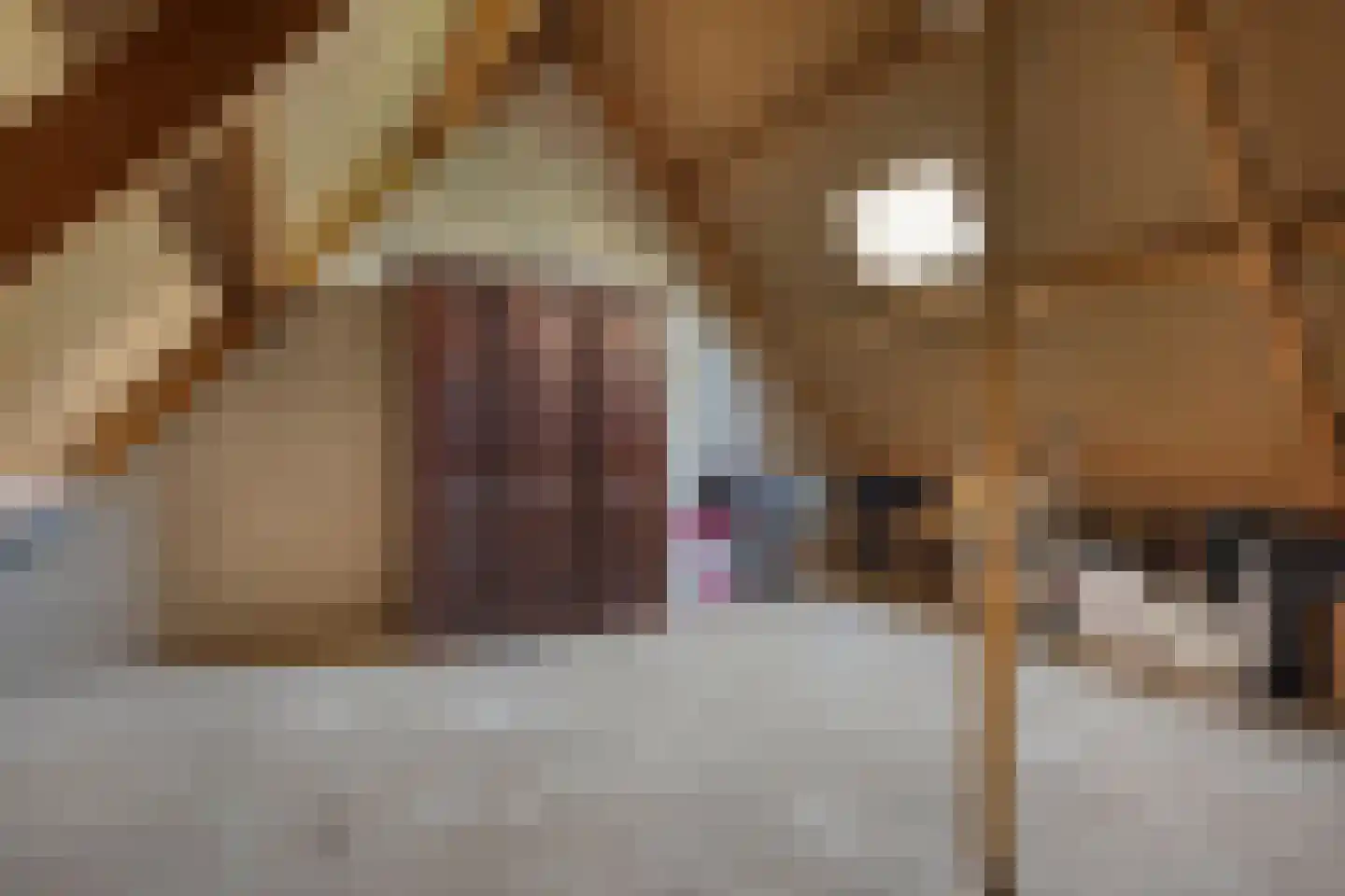 Zeepziederstraat 23 Alkmaar thumbnail 31