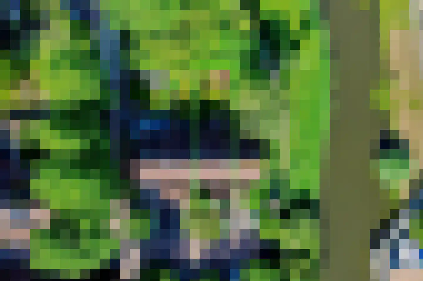 Zeepziederstraat 23 Alkmaar thumbnail 37