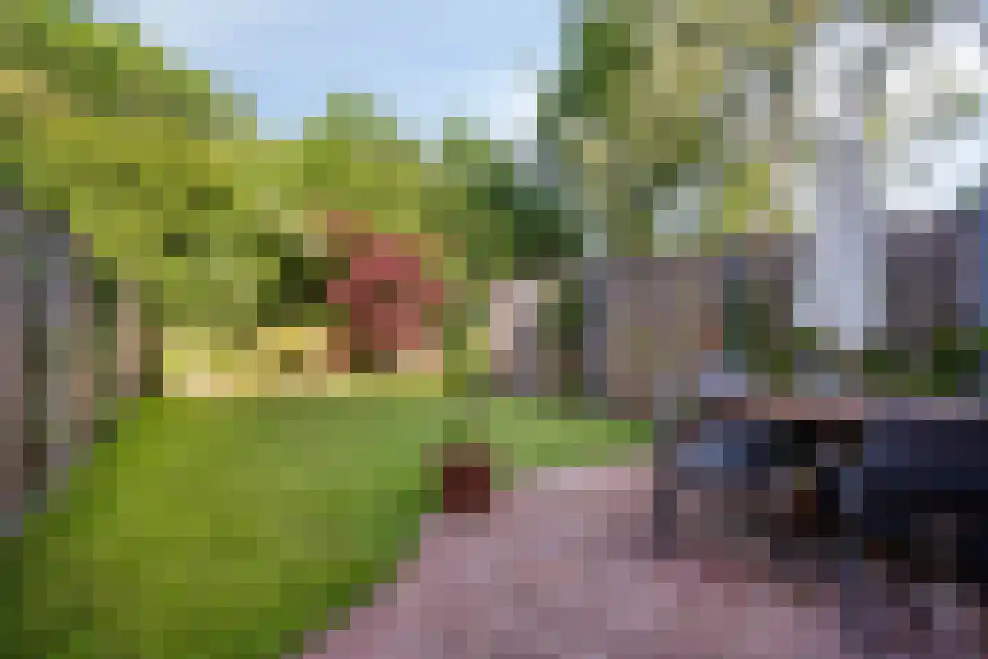 Zeepziederstraat 23 Alkmaar thumbnail 4