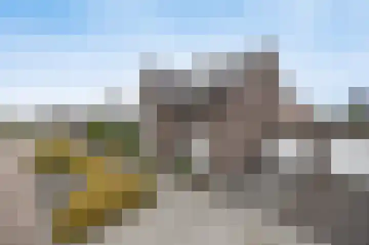 Zeepziederstraat 26 Etten-Leur thumbnail 5