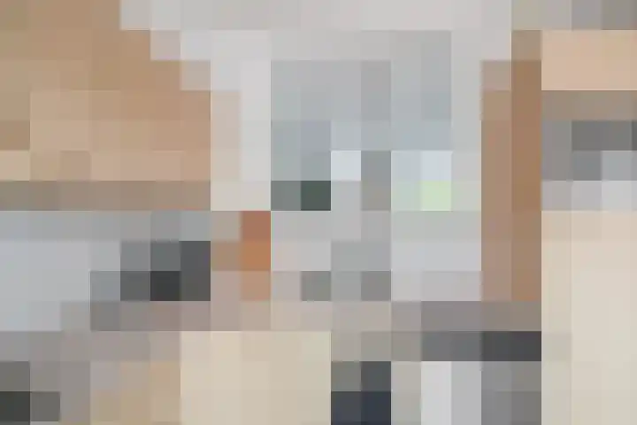 Zeepziederstraat 3 Alkmaar thumbnail 12