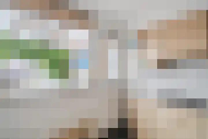 Zeepziederstraat 3 Alkmaar thumbnail 13