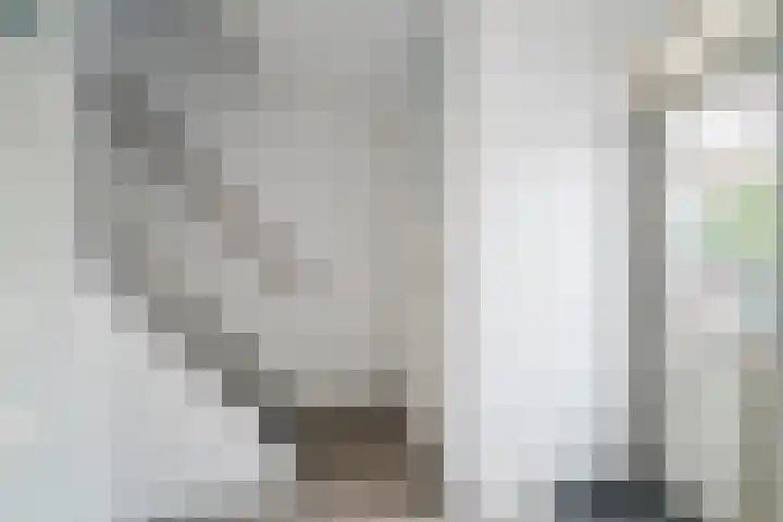 Zeepziederstraat 3 Alkmaar thumbnail 14