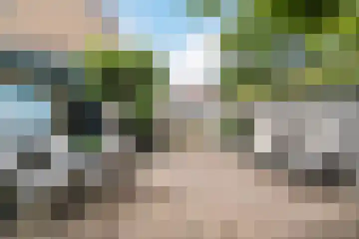 Zeepziederstraat 3 Alkmaar thumbnail 31