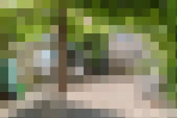 Zeepziederstraat 3 Alkmaar thumbnail 32