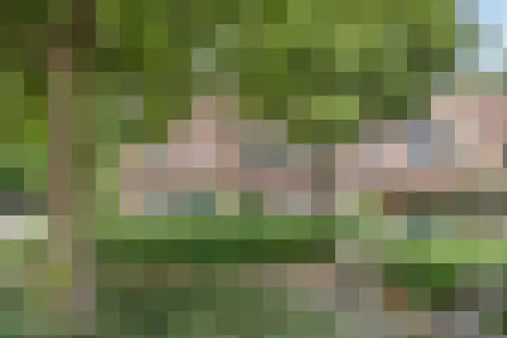 Zeepziederstraat 3 Alkmaar thumbnail 34