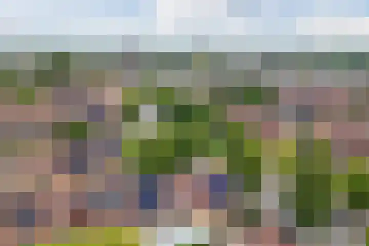 Zeepziederstraat 3 Alkmaar thumbnail 36